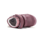 S066-62216F Grape - Slika 3